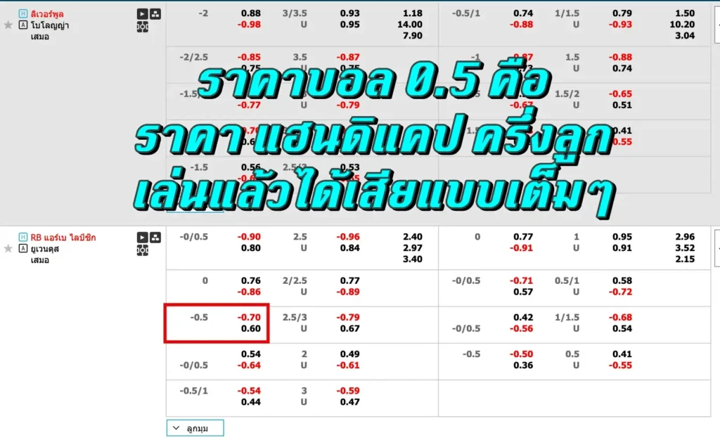 ราคาบอล 0.5 คือ